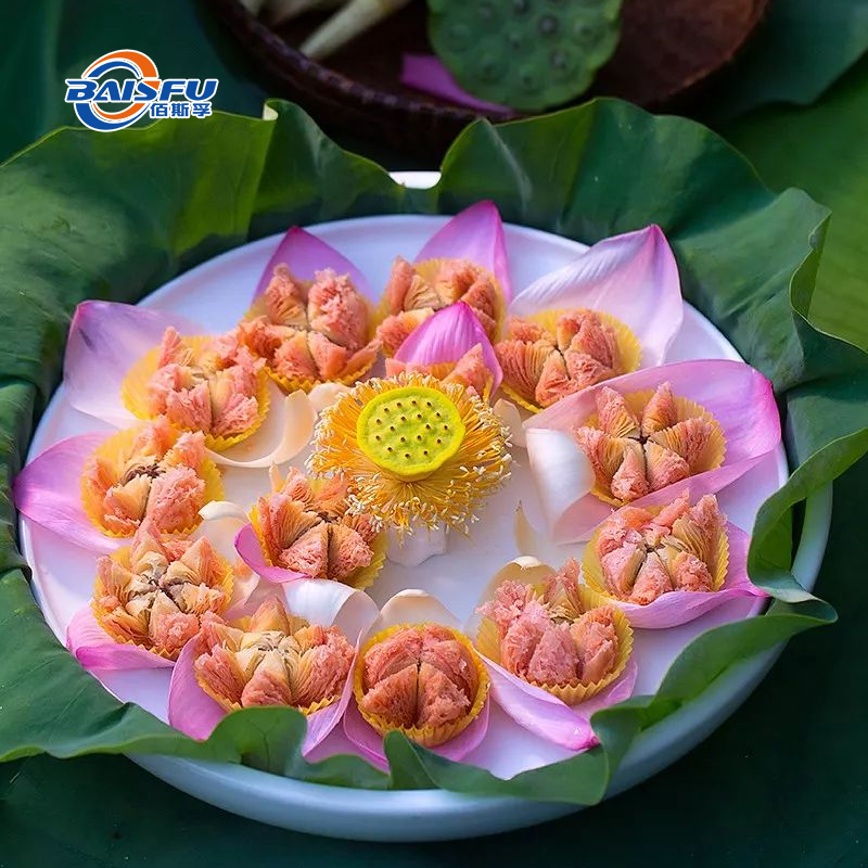 56----芙蓉花HIBISCUS-FLOWER--03.jpg