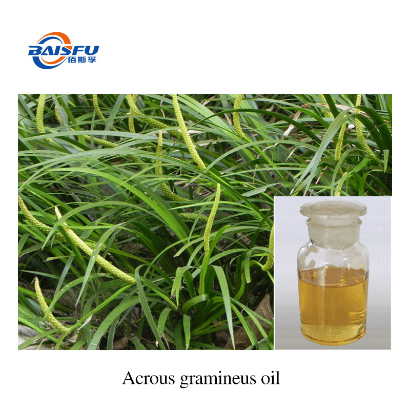 1763607984725010.jpg A27-石菖蒲油-Acrous-gramineus-oil-02.jpg